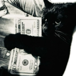 /dollfvn