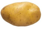 watermolon