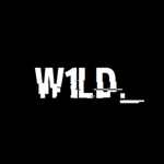 W1LD STUDIOS