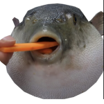 Da pufferfish clan