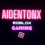 AidentinX.