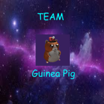 Guinea Pig Official Youtube Group
