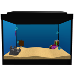 Fish Tank On Your Head!!! 🐟🐠 🦀 🐚
