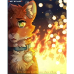 Warrior Cats The Beginning of time