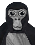 People that play gorilla tag