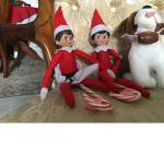 DanypaboN who likes elf so much a lot doll love *