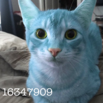 cassiopeiaa