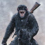 K!ller Apes