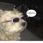 예리그룹!