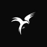U.C | Développement