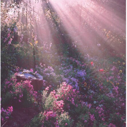 ~The A.T. Nature Park~