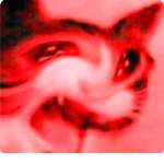 memes machine group