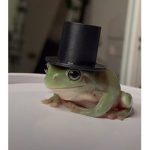 The Frogs :)))))