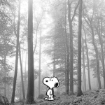 PANDA !! Group Thumbnail