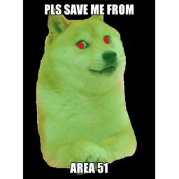 Doge City But Its Normal Oh Wait Its Not...