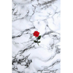 #### Are Cool (if you hate emo See if i care)