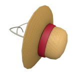 Anime Pirate Straw Hat on Back