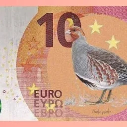 EURO NEW BILL icon