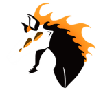 Havoc Horse Studios