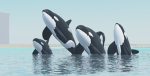 Seven Seas Aquarium Group