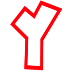 TEAM YOYO!