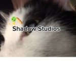 ShadowsTaken Studios