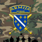Bosnian Forces.