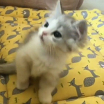 iloveowen<3