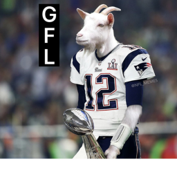 GOAT MAIN FIELD