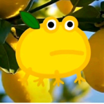la.rana.limon fans