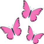 #TEAM BUTTERFLY