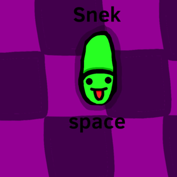 Snek space
