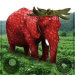 Strawberry Elephant Tower