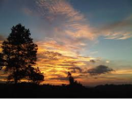 Dans Sky Type