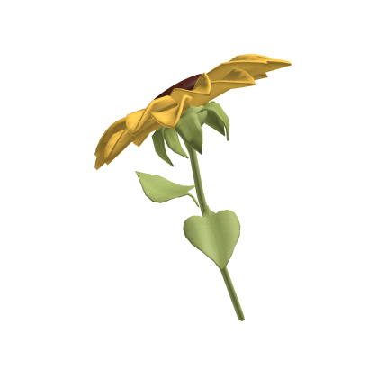 ♡ Large cute summer Sunflower🌻