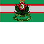 RIC division