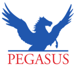 Pegasus Special Forces