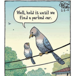 Pigeon people