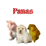 Grupo para beios panas