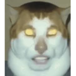 ZunkBunk