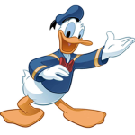 Ducky Gang!