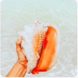 𝙪