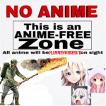 NO ANIME!
