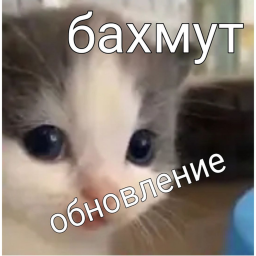 бахмут войнушка гойда оружие симулятор стрелялка
