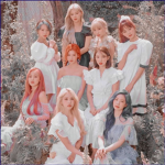 Twice fans group