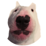 Walter Doge