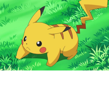 Pikachu fans