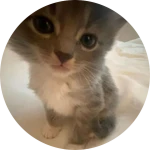 Пожертвование