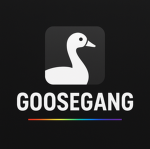 Gang Of Geese