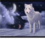 Snow wolfs